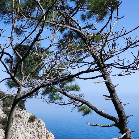 Apartment Uphill Opatija