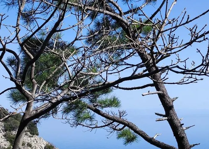 Apartment Uphill Opatija